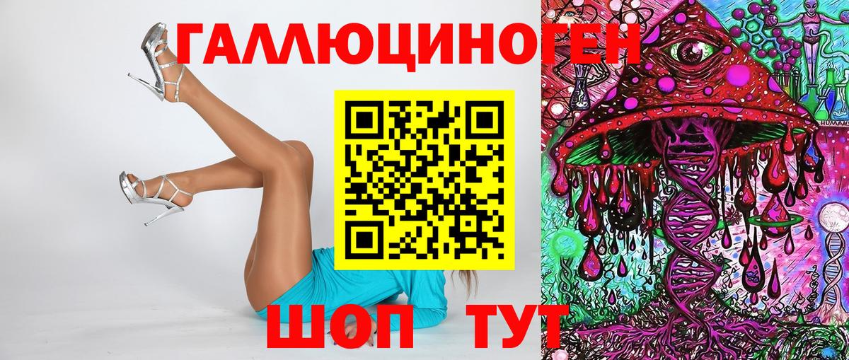 Гусев  Псилоцибиновые грибы Cubensis  закладка  Вход с VPN  Псилоцибиновые грибы Psilocybine cubensis 